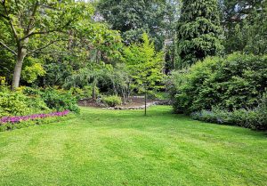 Optimiser l'expérience du jardin à Hombourg-Haut